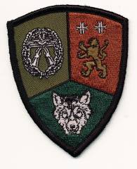 Patch Training Company, Security Regiment of the Air Force SCHORTENS, with velcro